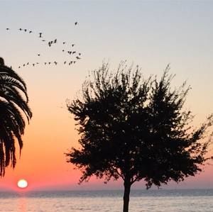 Meet your Posher, Enee